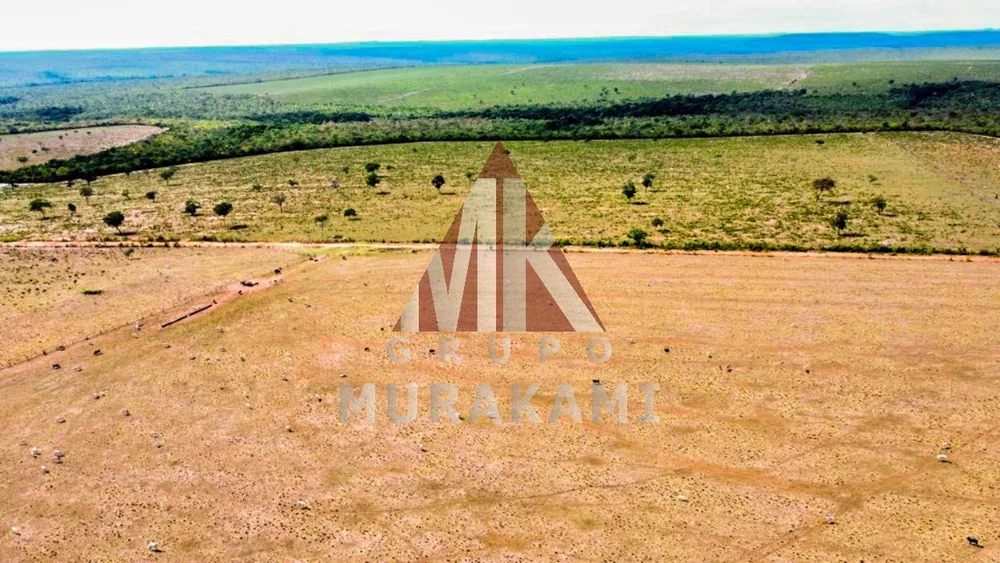 Fazenda, 8703 m² - Foto 1