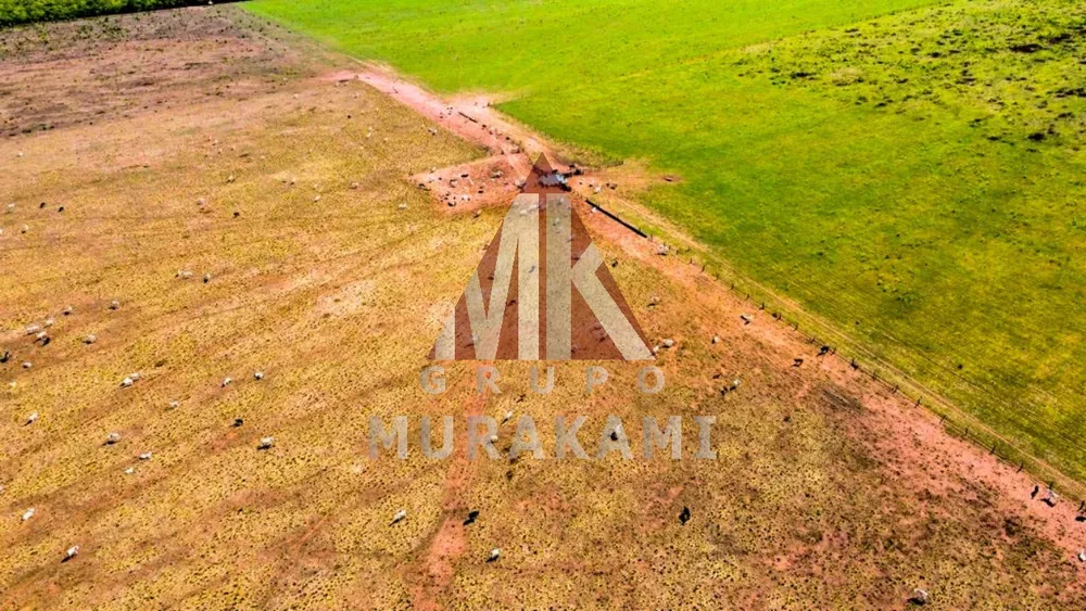 Fazenda, 8703 m² - Foto 5