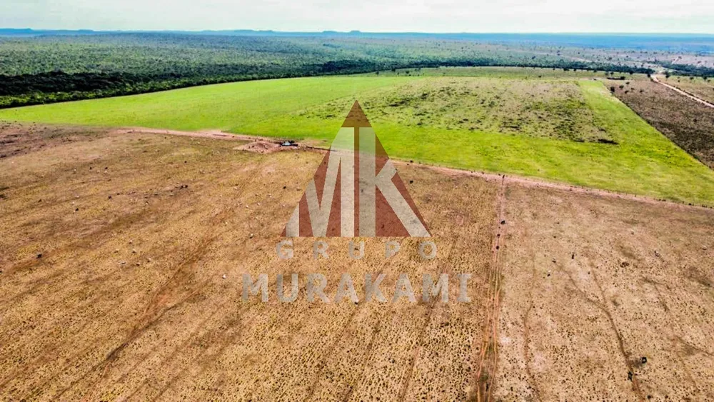 Fazenda, 8703 m² - Foto 10