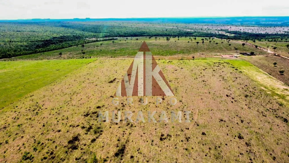 Fazenda, 8703 m² - Foto 2