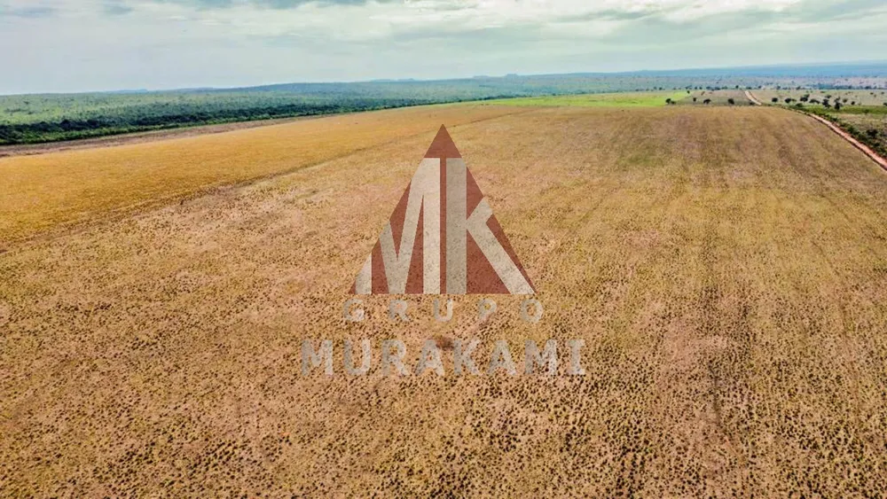 Fazenda, 8703 m² - Foto 8