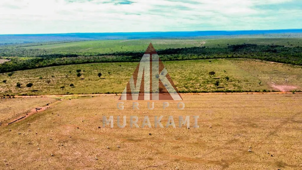 Fazenda, 8703 m² - Foto 1