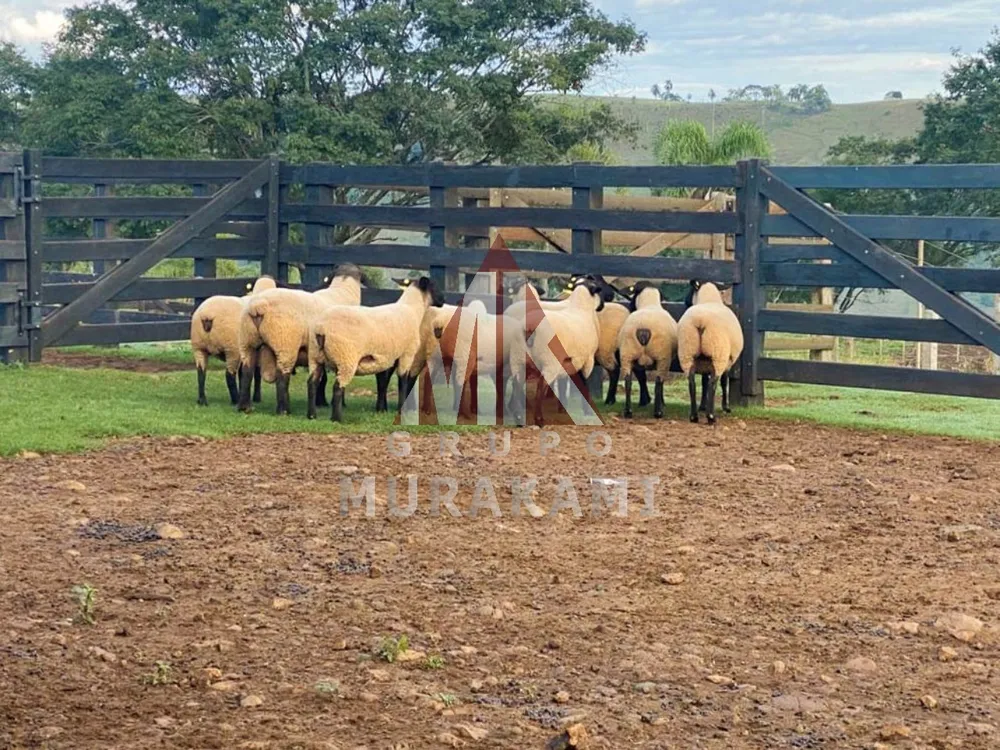 Fazenda, 155 m² - Foto 11
