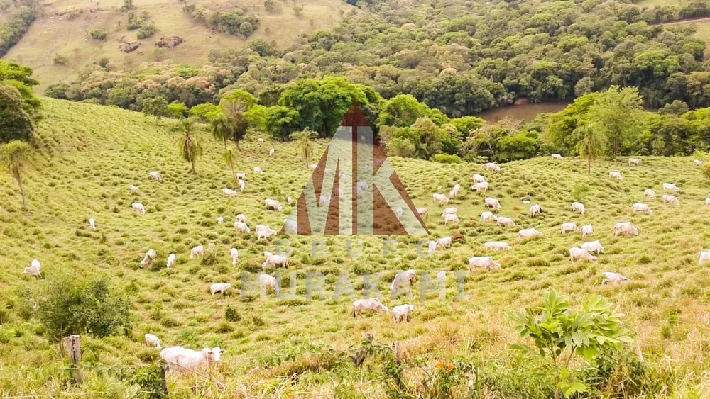 Fazenda, 155 m² - Foto 2