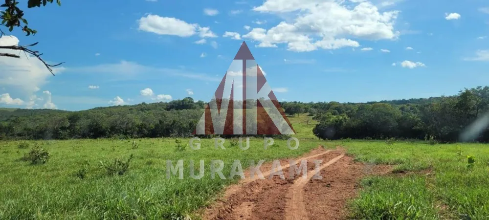 Fazenda, 1490 m² - Foto 2