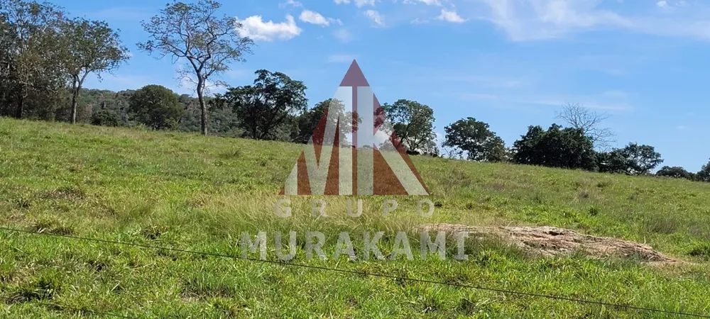 Fazenda, 1490 m² - Foto 4