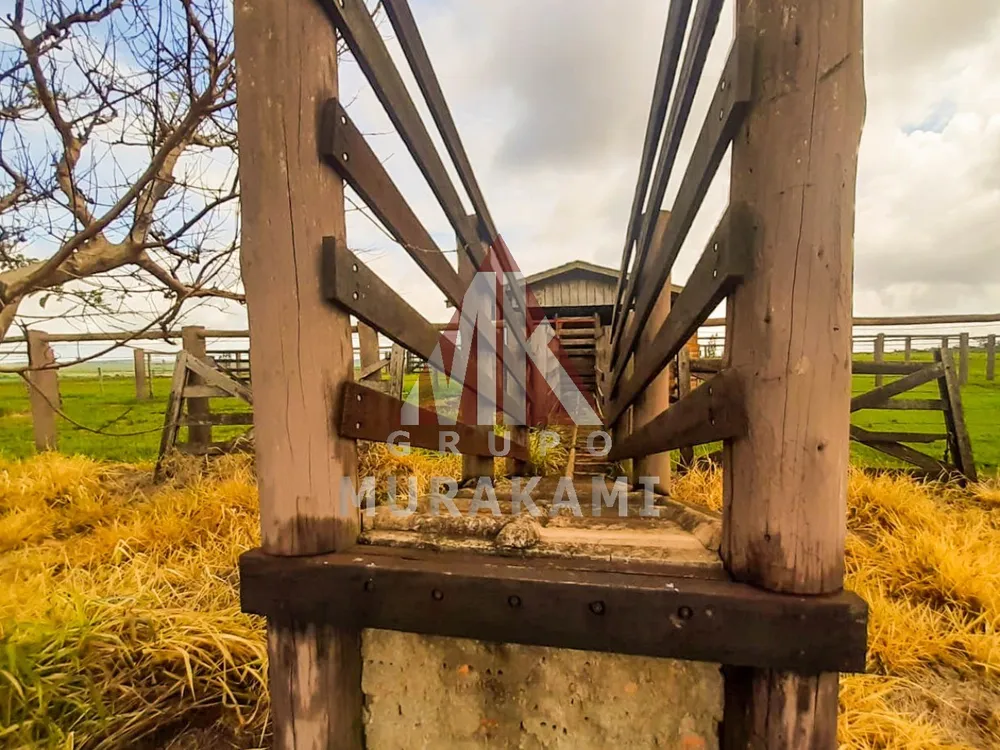 Fazenda, 200 m² - Foto 3