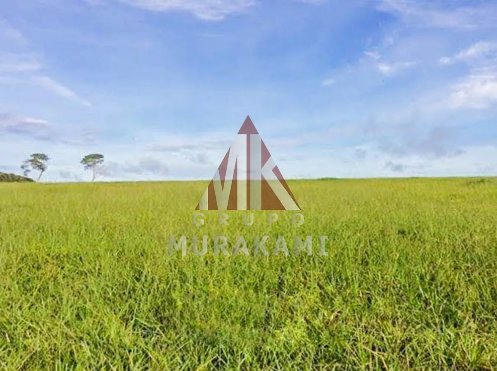 Fazenda, 1 hectares - Foto 1