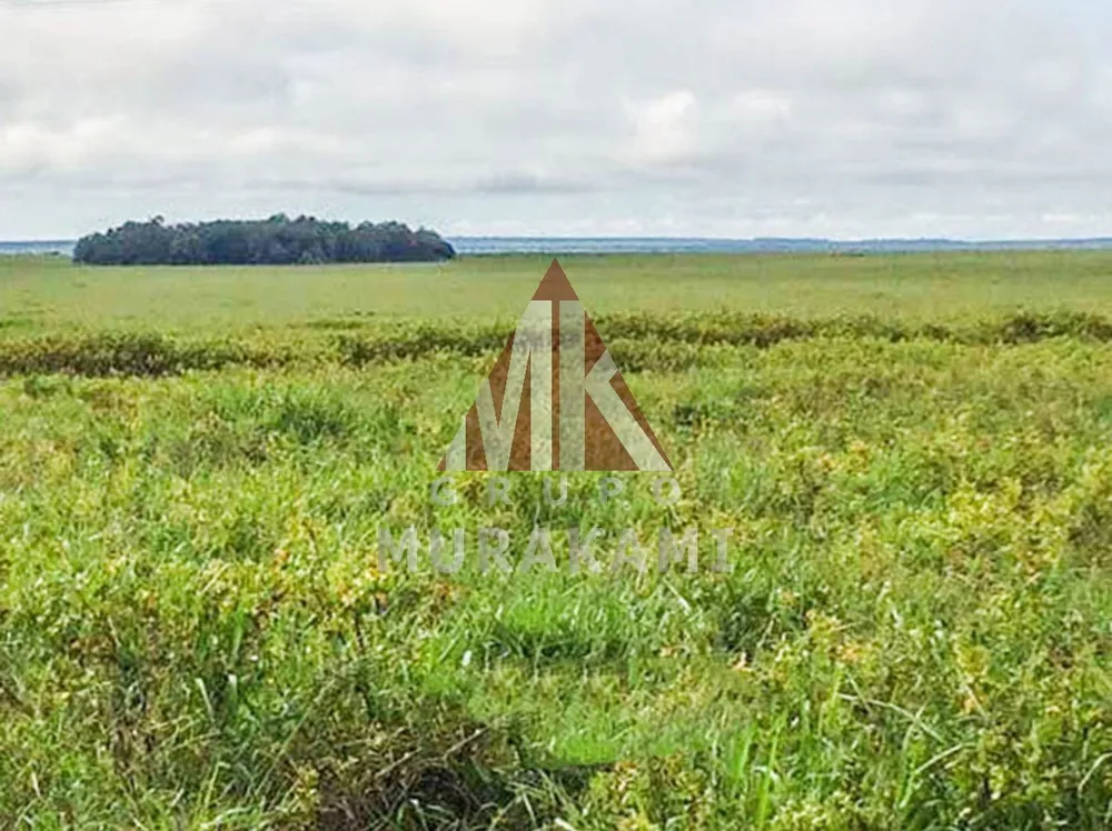 Fazenda, 1 hectares - Foto 3