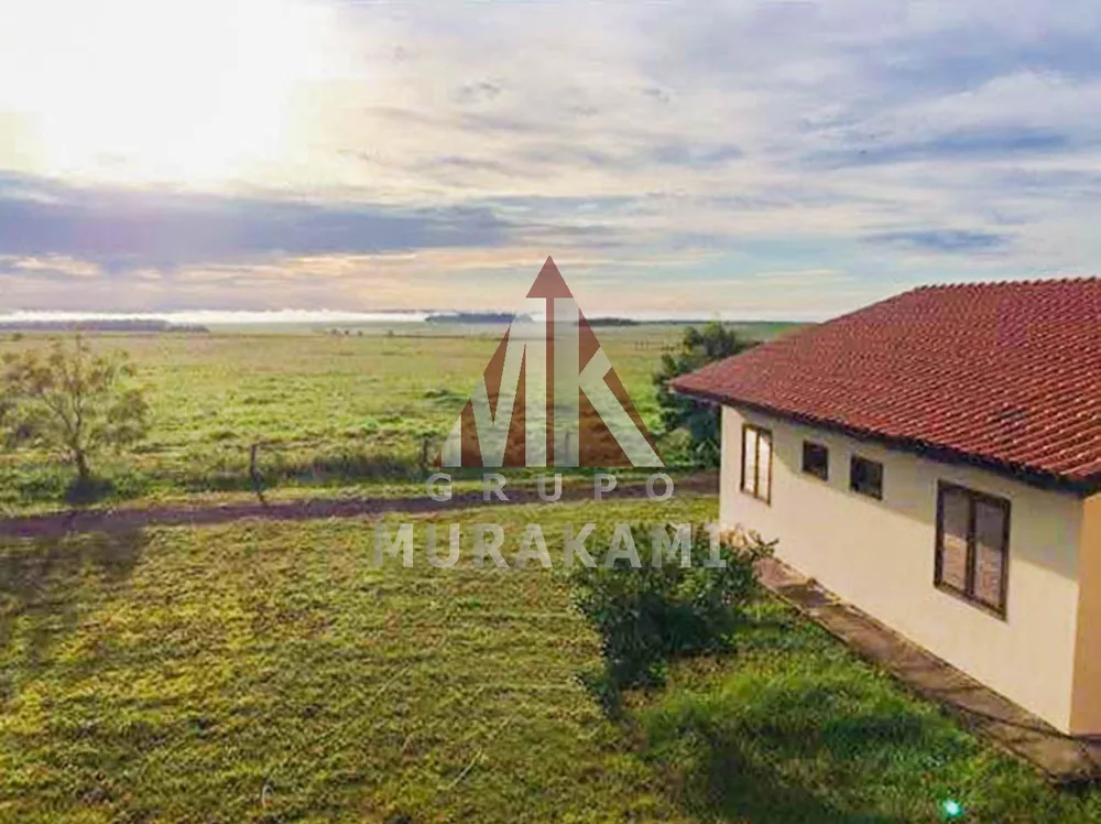 Fazenda, 1 hectares - Foto 6