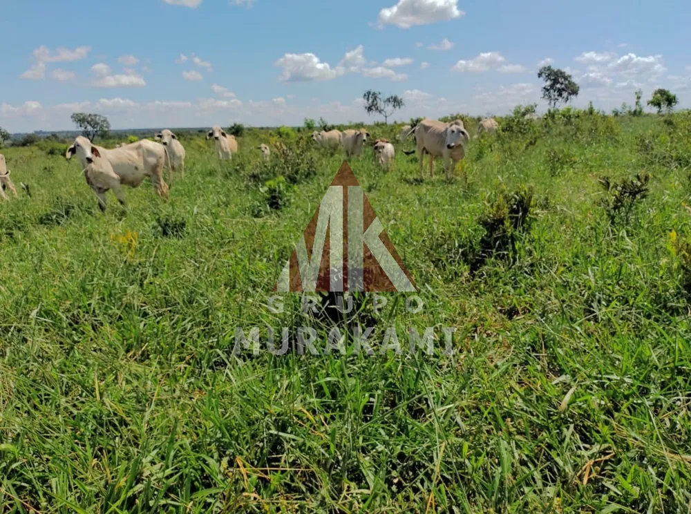 Fazenda, 1134 m² - Foto 16