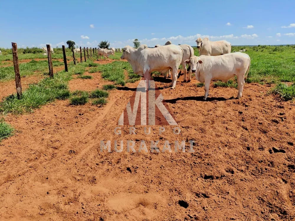 Fazenda, 1134 m² - Foto 4