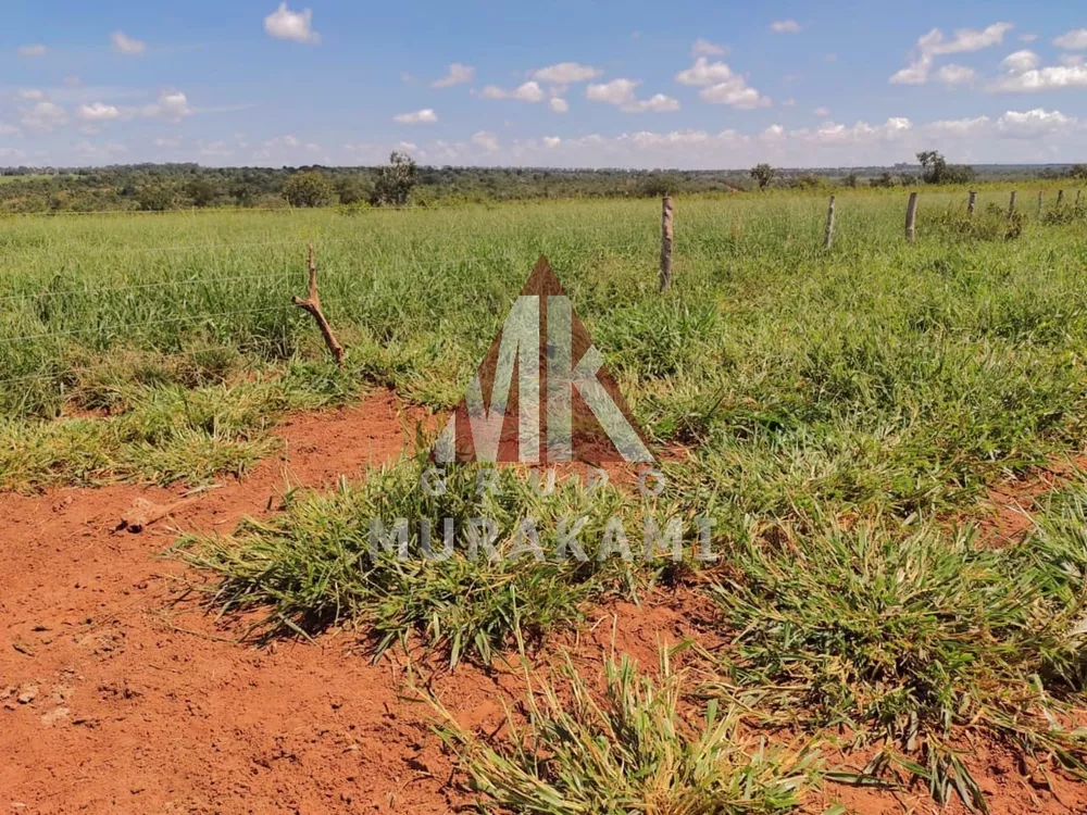 Fazenda, 1134 m² - Foto 2