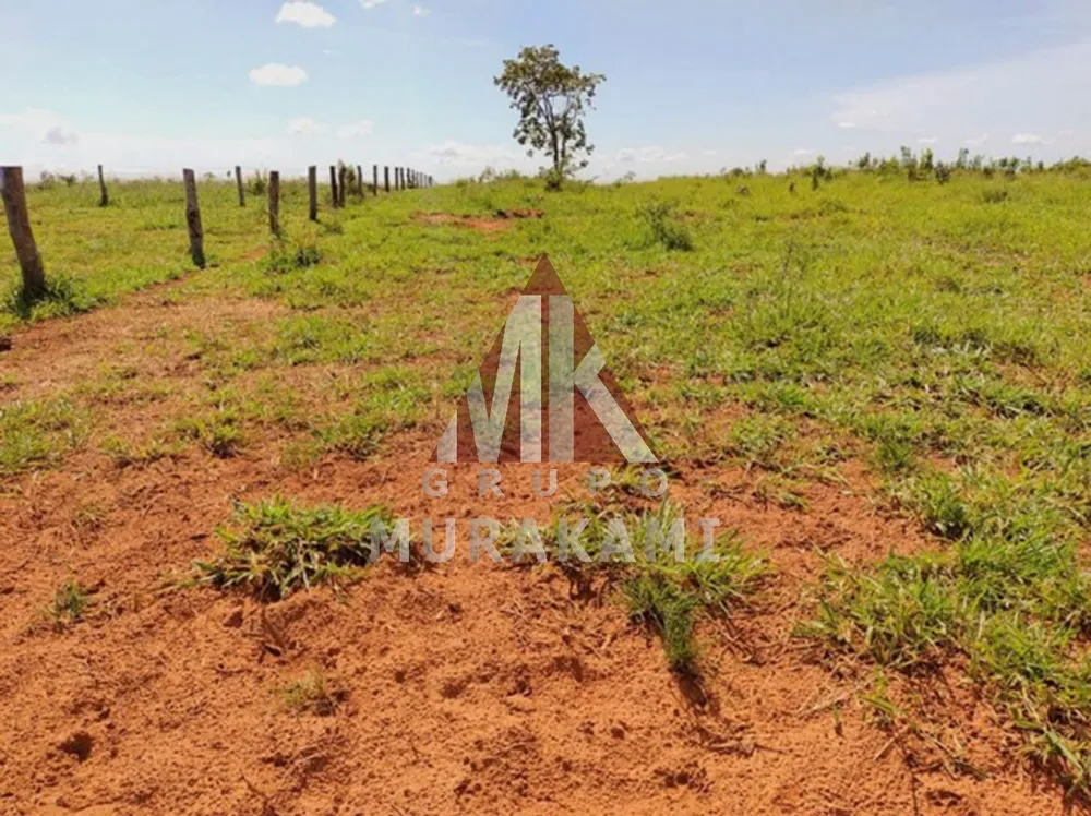 Fazenda, 1134 m² - Foto 11