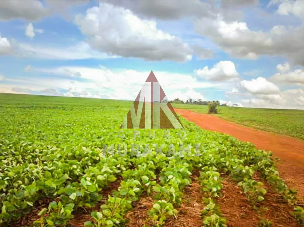 Fazenda, 400 m² - Foto 9