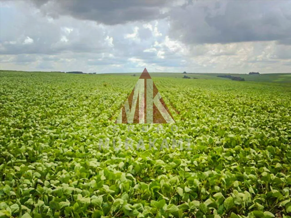 Fazenda, 400 m² - Foto 5