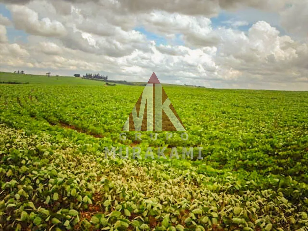 Fazenda, 400 m² - Foto 2