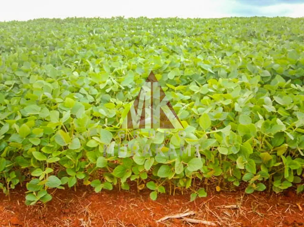 Fazenda, 400 m² - Foto 8