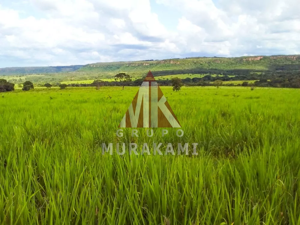 Fazenda, 1 quarto - Foto 3