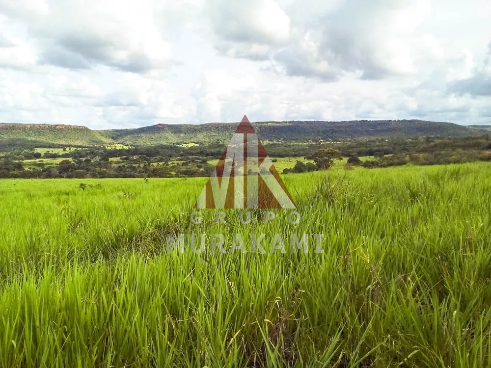 Fazenda, 1 quarto - Foto 1