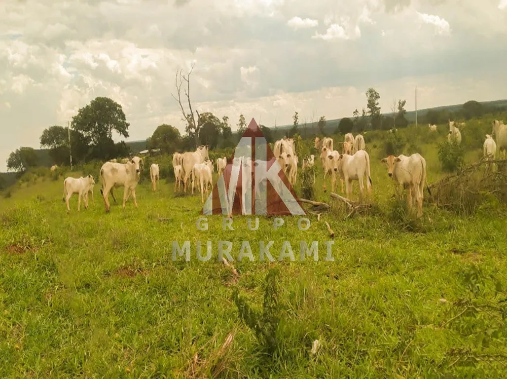 Fazenda, 323 m² - Foto 4