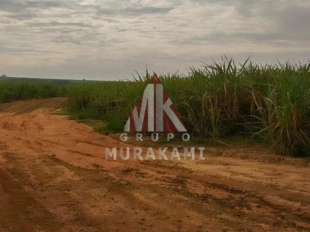 Fazenda, 1275 m² - Foto 1