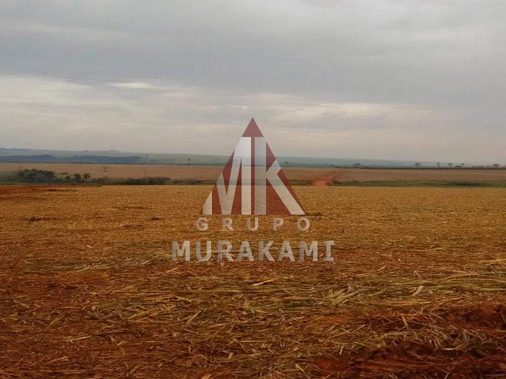 Fazenda, 1275 m² - Foto 2