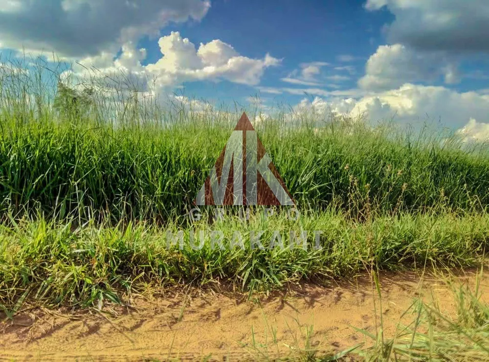 Fazenda, 560 m² - Foto 3