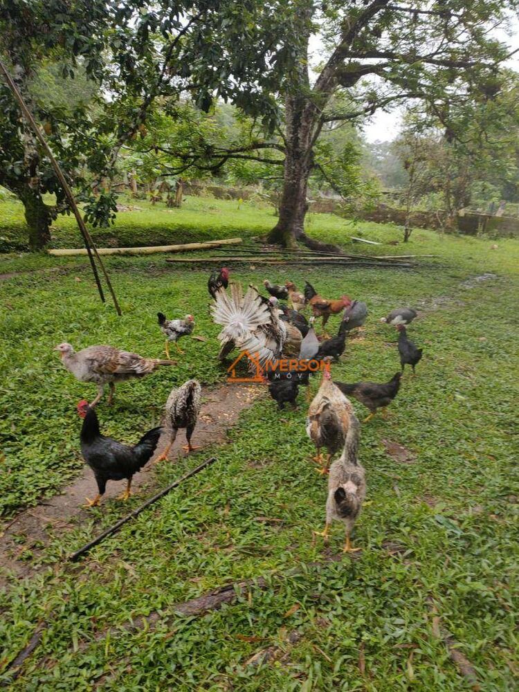 Chácara, 3 quartos, 2 hectares - Foto 13