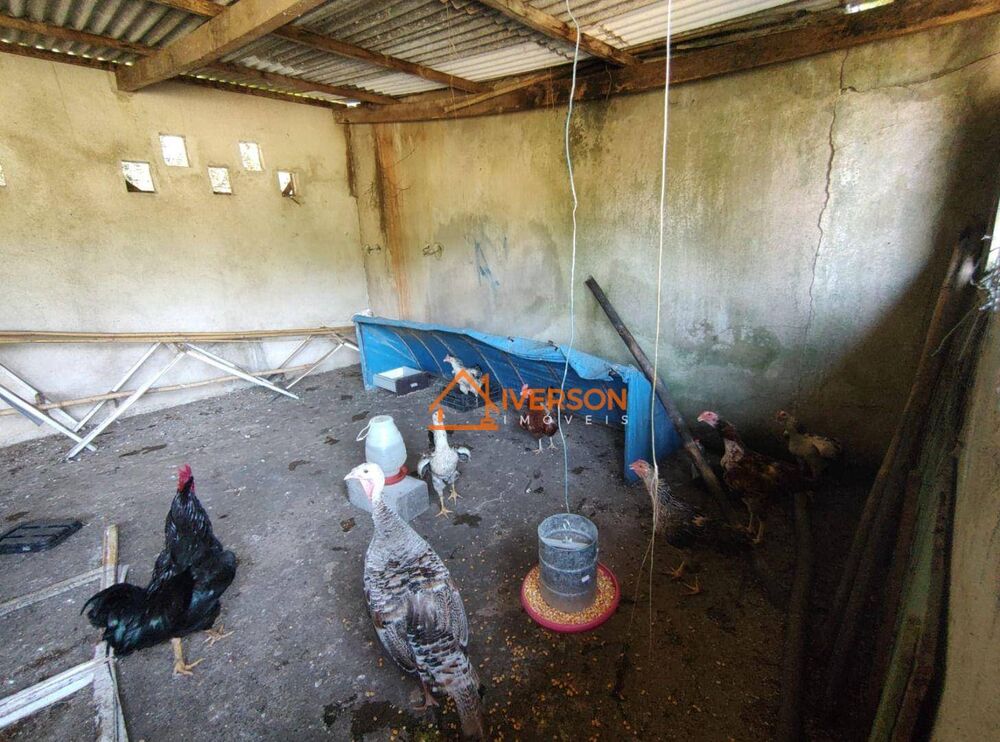 Chácara, 3 quartos, 2 hectares - Foto 17