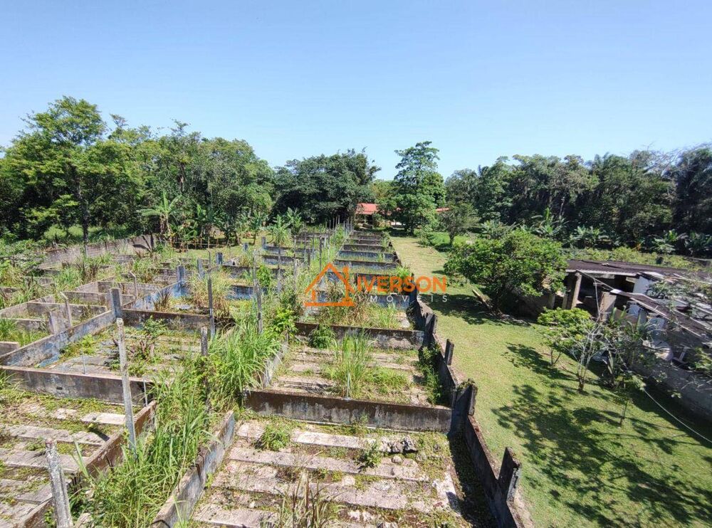 Chácara, 3 quartos, 2 hectares - Foto 9