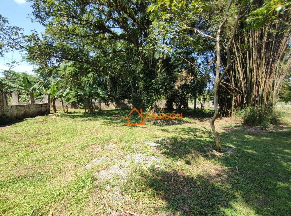 Chácara, 3 quartos, 2 hectares - Foto 8