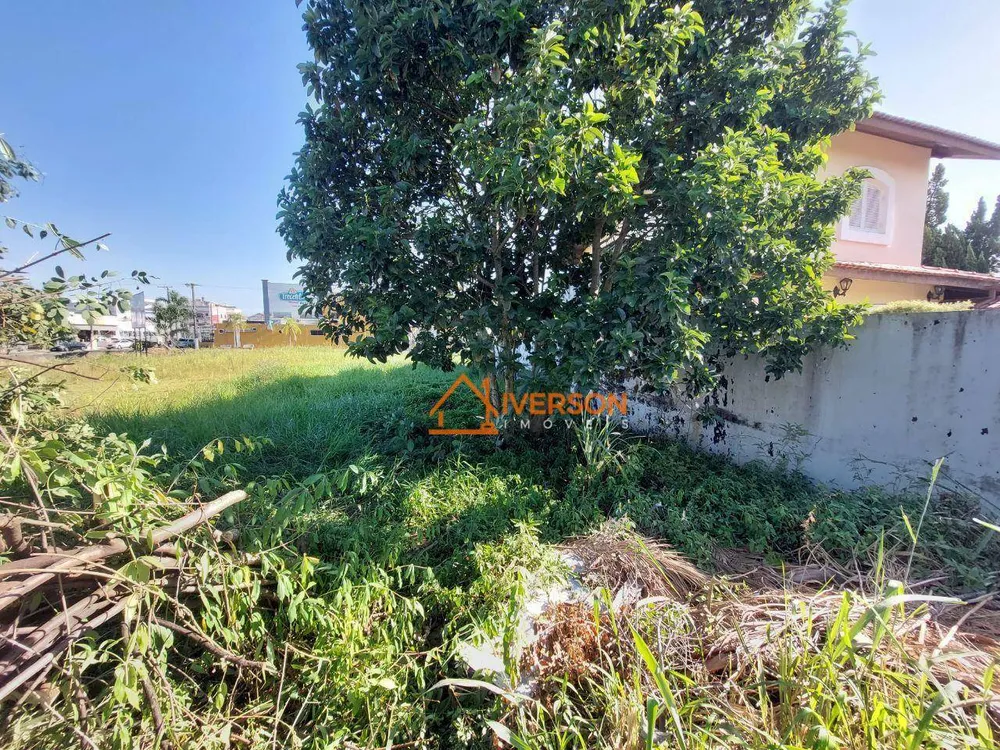 Terreno, 282 m² - Foto 1