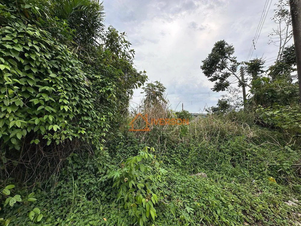 Terreno, 314 m² - Foto 4