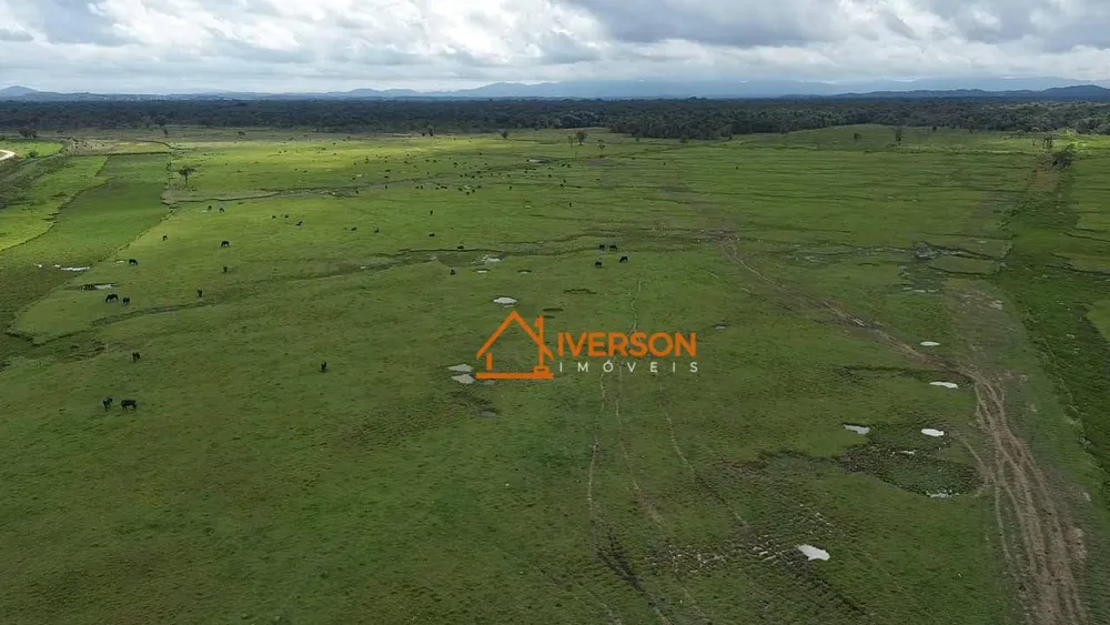 Fazenda, 387 hectares - Foto 3