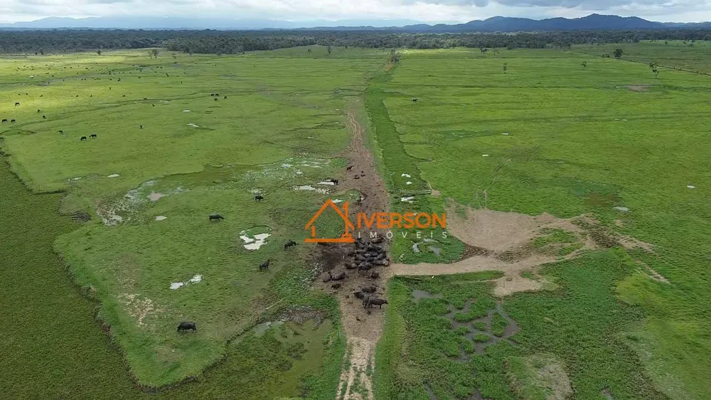 Fazenda, 387 hectares - Foto 1