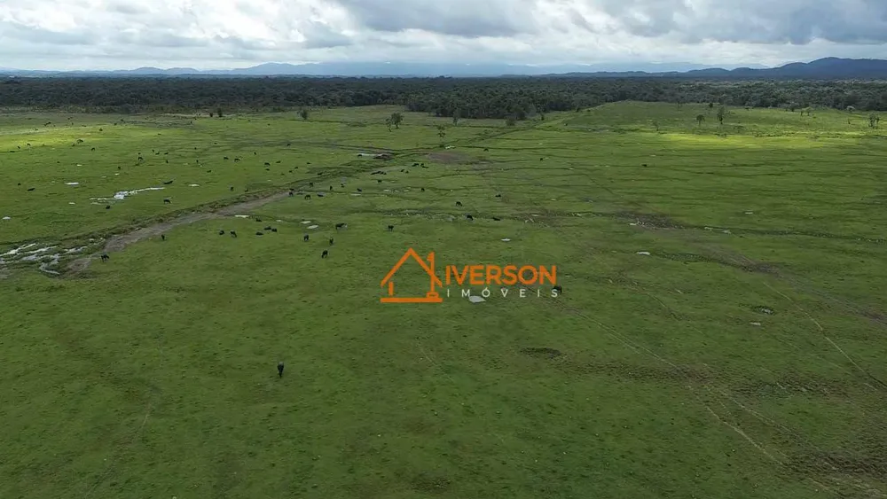 Fazenda, 387 hectares - Foto 2