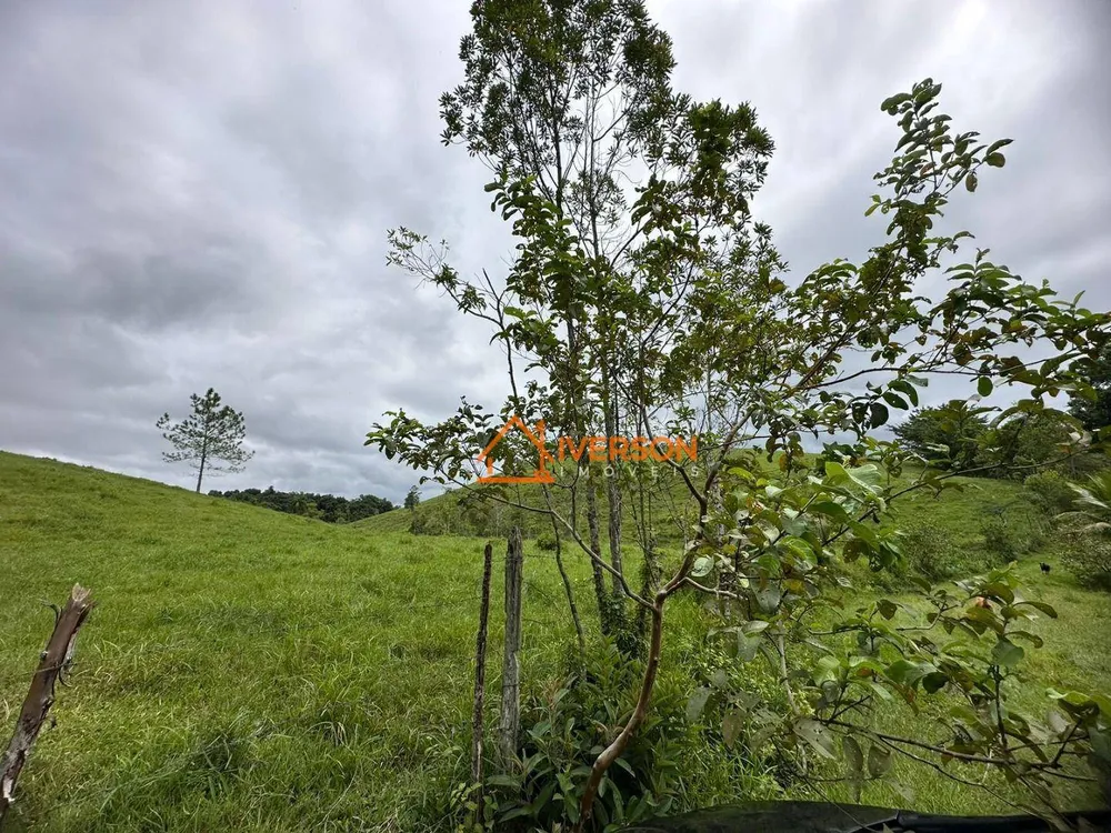 Sítio, 3 quartos, 97 hectares - Foto 13