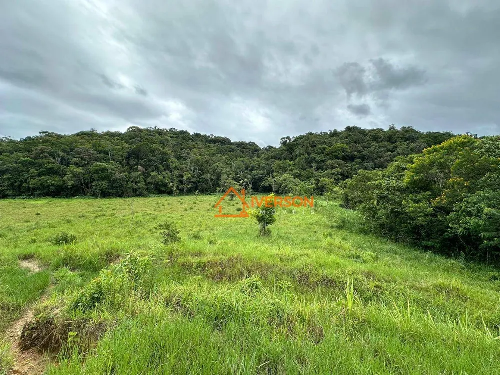 Sítio, 3 quartos, 97 hectares - Foto 3