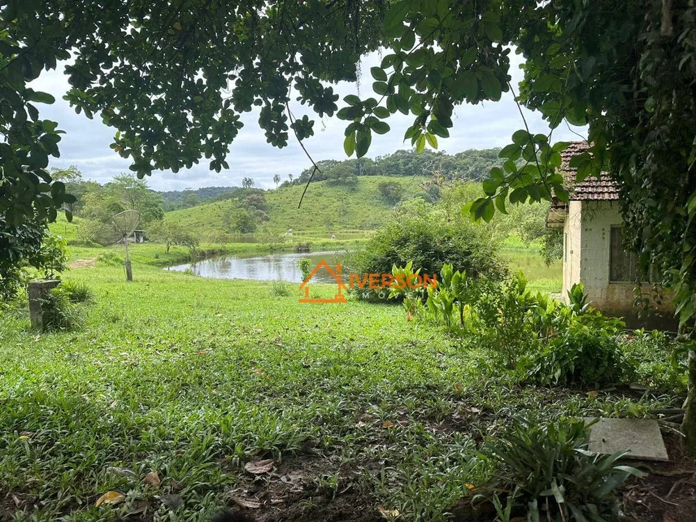Sítio, 3 quartos, 97 hectares - Foto 6
