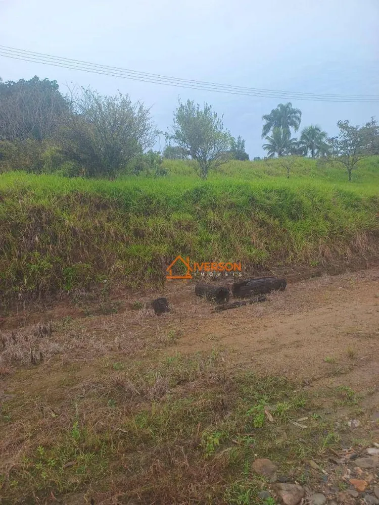 Fazenda, 211 hectares - Foto 12
