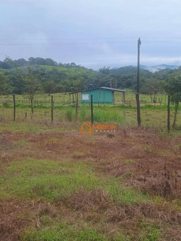 Fazenda, 211 hectares - Foto 11