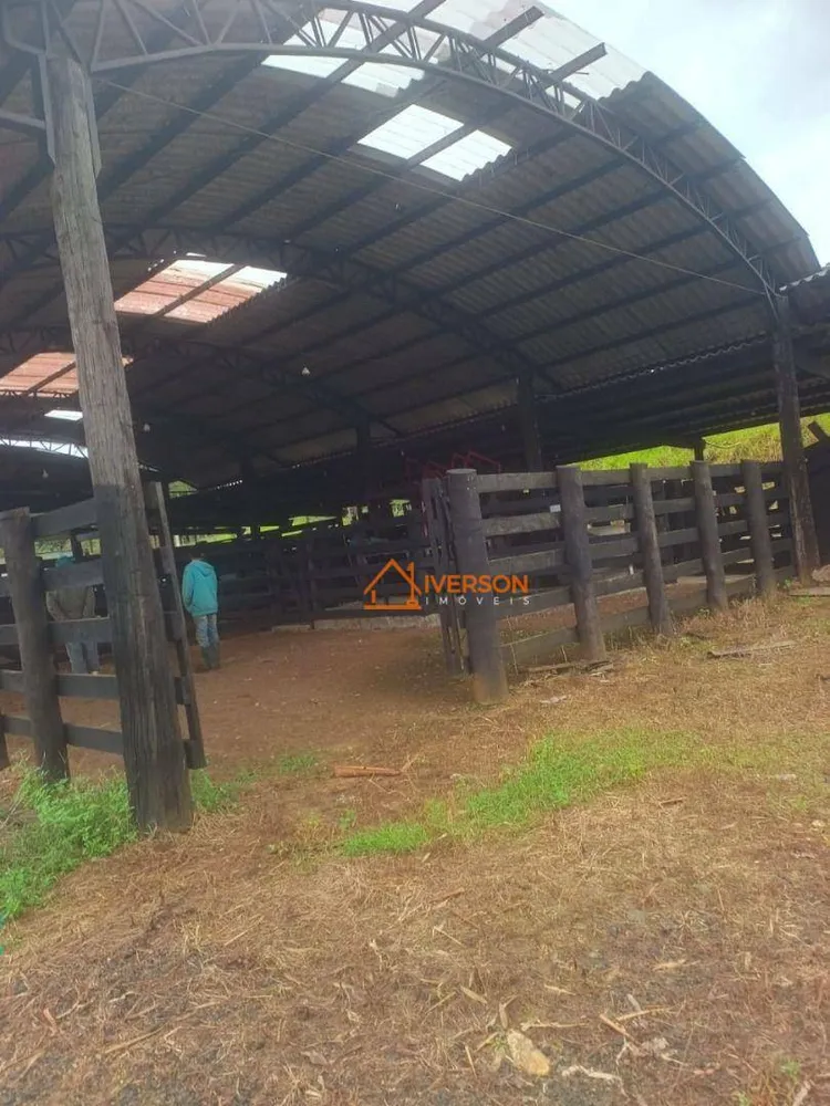 Fazenda, 211 hectares - Foto 3