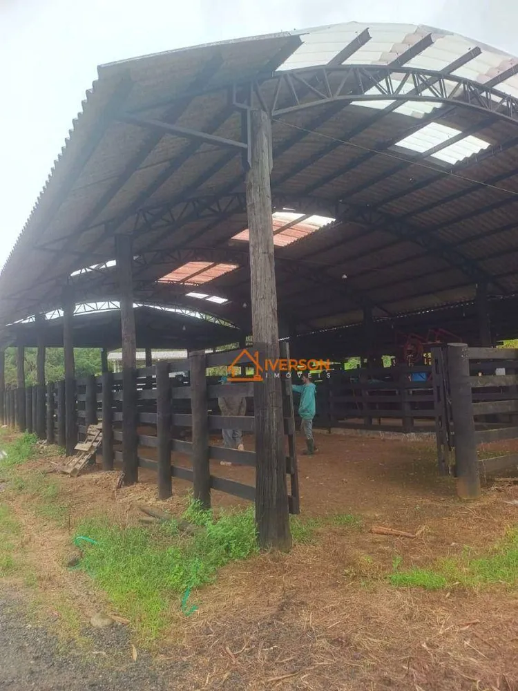 Fazenda, 211 hectares - Foto 1