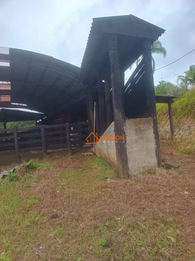 Fazenda, 211 hectares - Foto 4