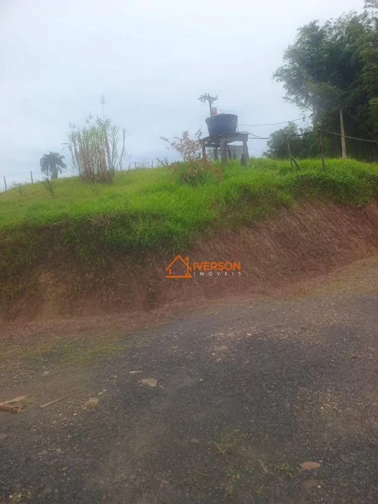 Fazenda, 211 hectares - Foto 6