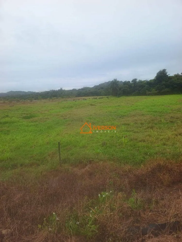 Fazenda, 211 hectares - Foto 7