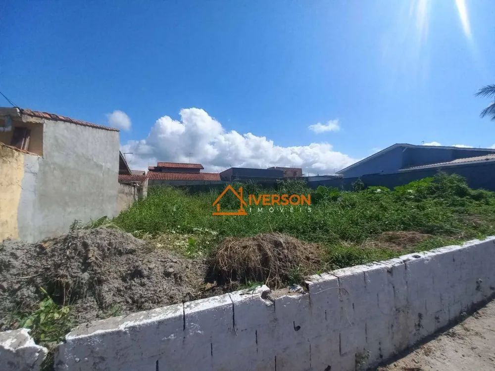 Terreno, 300 m² - Foto 3