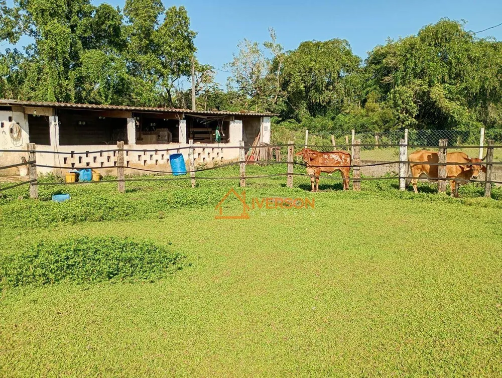 Sítio, 2 quartos, 2 hectares - Foto 11
