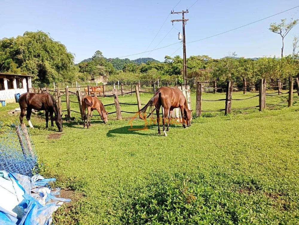 Chácara, 2 quartos, 2 hectares - Foto 4
